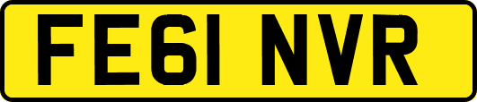 FE61NVR