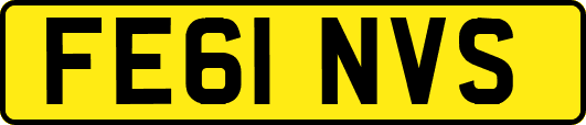 FE61NVS