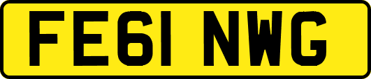 FE61NWG