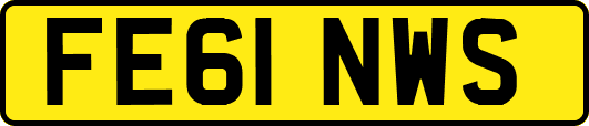 FE61NWS