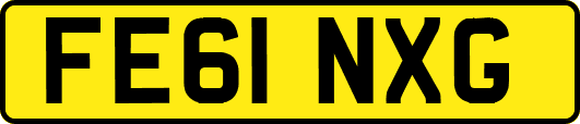 FE61NXG