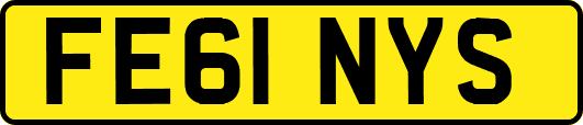 FE61NYS