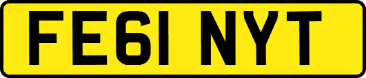 FE61NYT