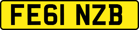 FE61NZB