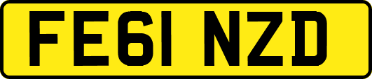 FE61NZD