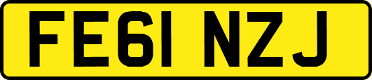 FE61NZJ