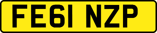 FE61NZP