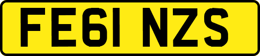 FE61NZS