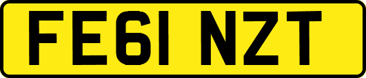 FE61NZT