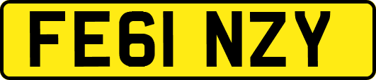 FE61NZY