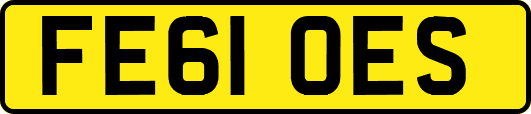 FE61OES