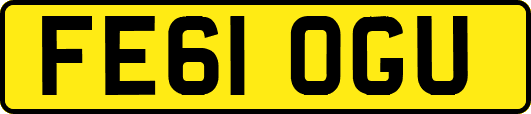 FE61OGU