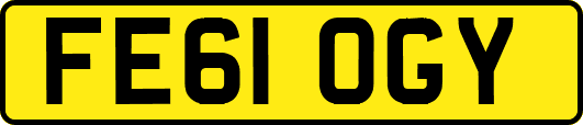 FE61OGY