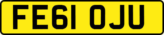 FE61OJU