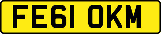 FE61OKM