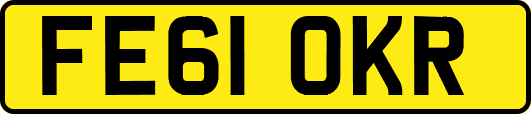 FE61OKR