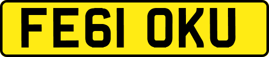 FE61OKU