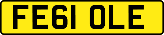 FE61OLE