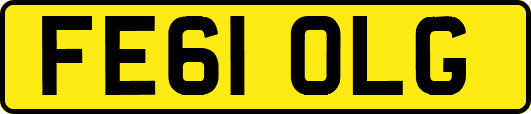 FE61OLG