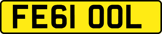 FE61OOL
