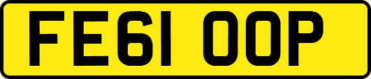 FE61OOP