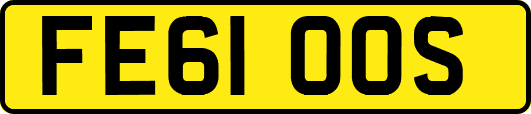 FE61OOS