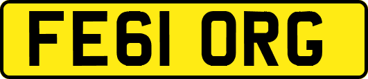 FE61ORG