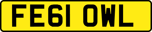 FE61OWL
