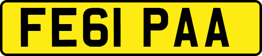 FE61PAA