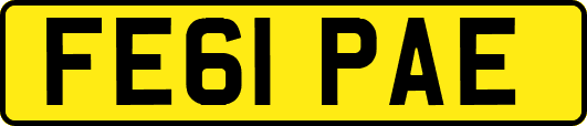 FE61PAE