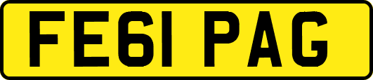 FE61PAG