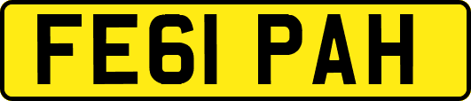 FE61PAH