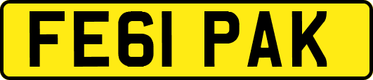 FE61PAK
