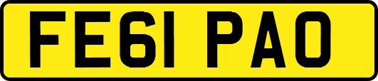 FE61PAO