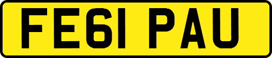 FE61PAU