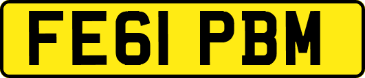 FE61PBM