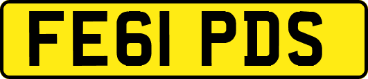 FE61PDS