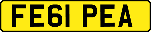 FE61PEA