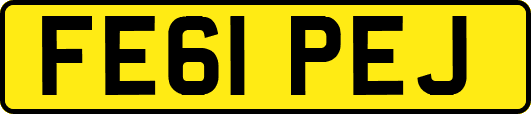 FE61PEJ