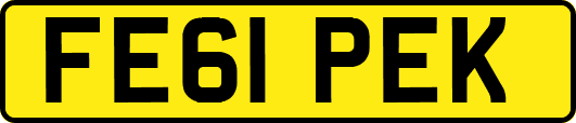 FE61PEK