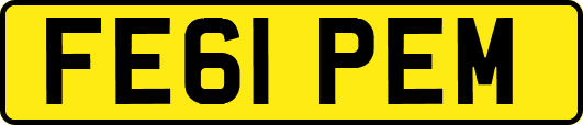 FE61PEM