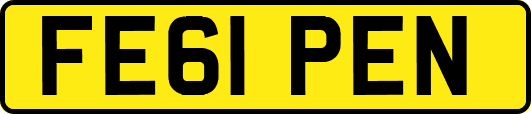 FE61PEN