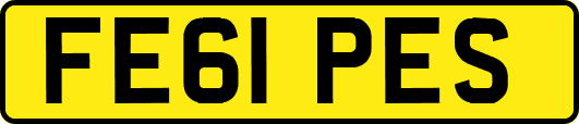 FE61PES