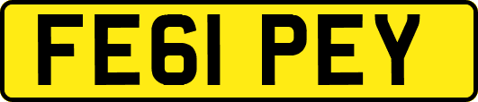 FE61PEY
