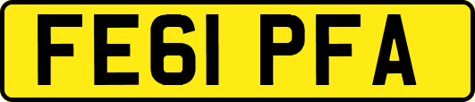 FE61PFA