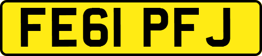 FE61PFJ