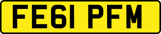 FE61PFM