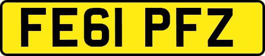 FE61PFZ