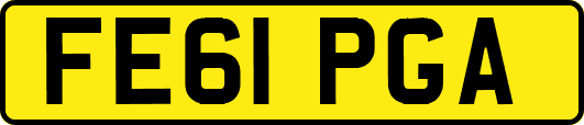 FE61PGA