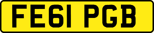 FE61PGB